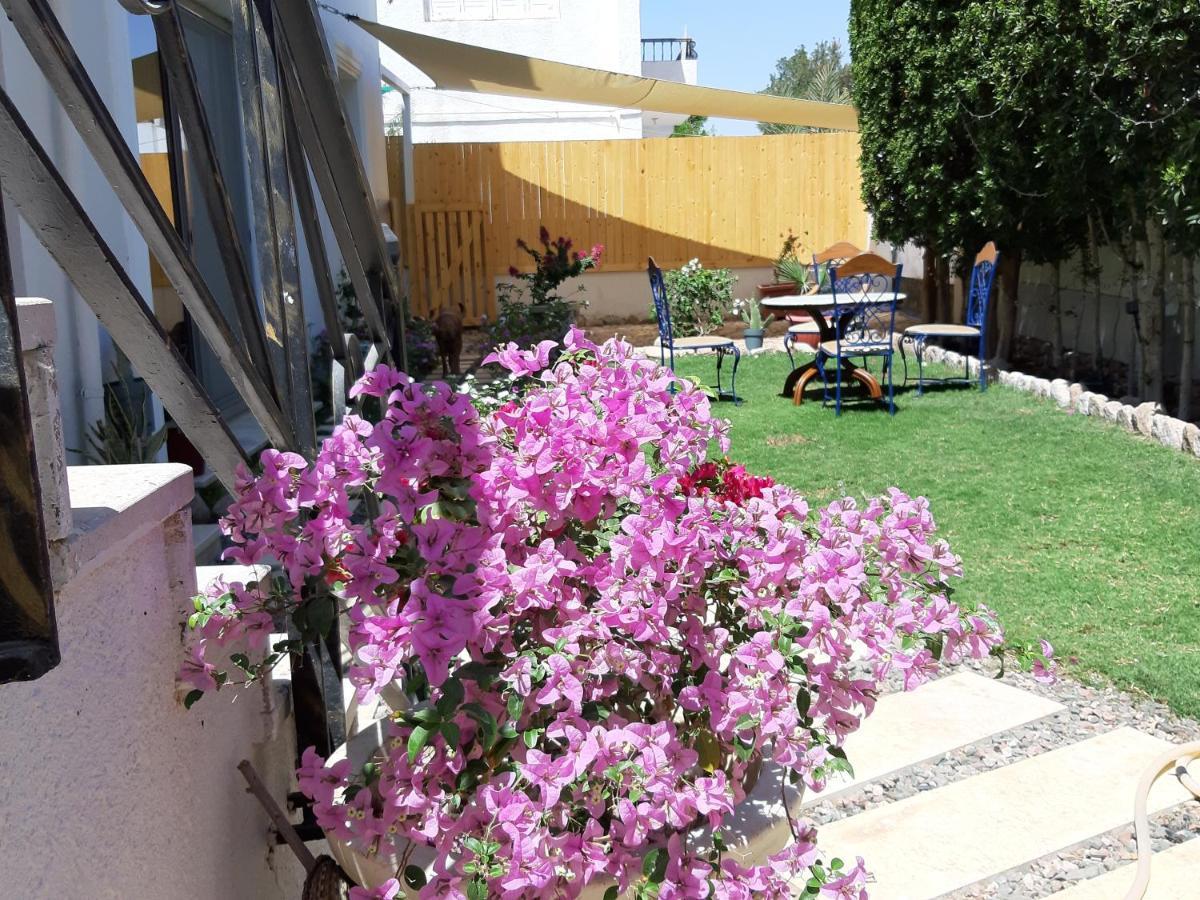 Villa D60 ชาร์มเอลชีค ภายนอก รูปภาพ