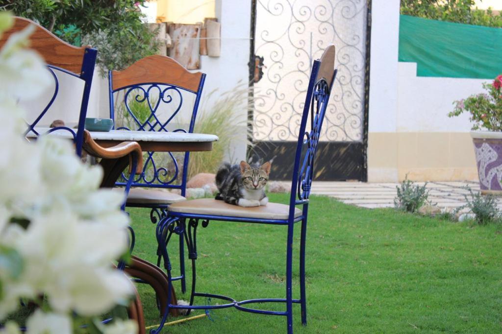 Villa D60 ชาร์มเอลชีค ภายนอก รูปภาพ